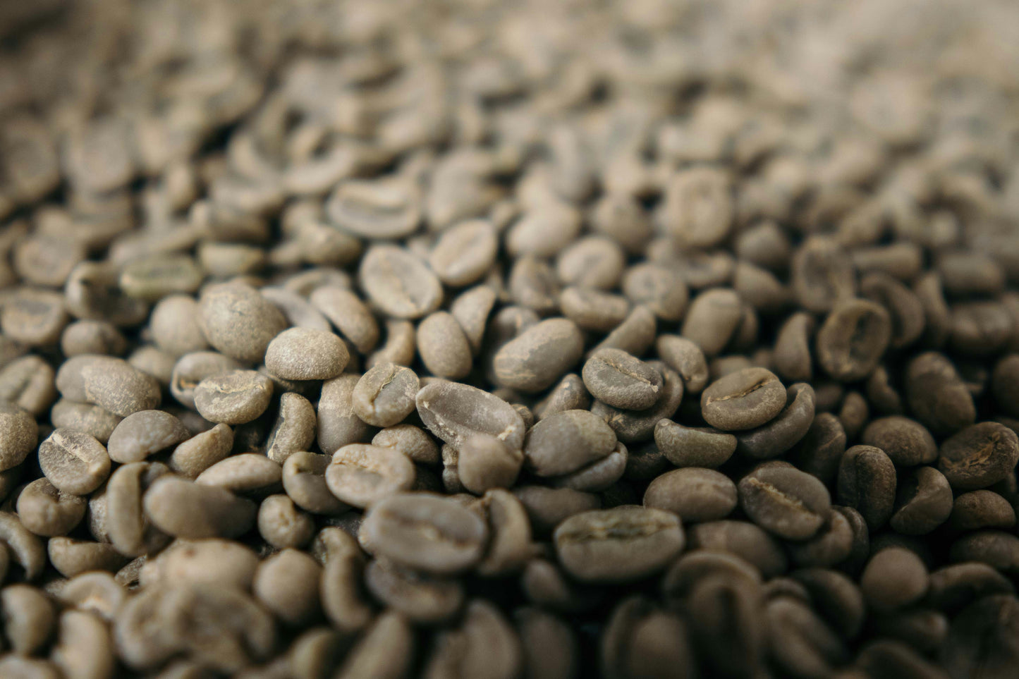 Raw coffee - beans (single origin)